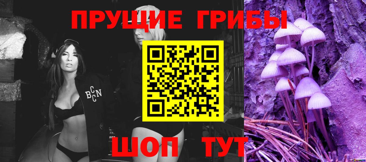 Галлюциногенные грибы GOLDEN TEACHER Псков