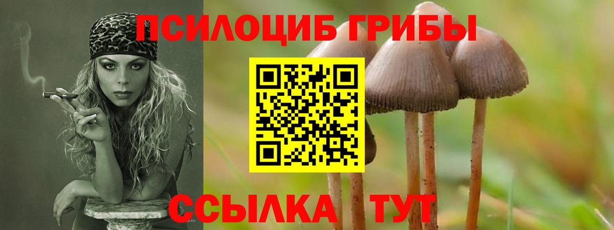 Псков  Галлюциногенные грибы Psilocybe  Вход с VPN  Галлюциногенные грибы мухоморы 
